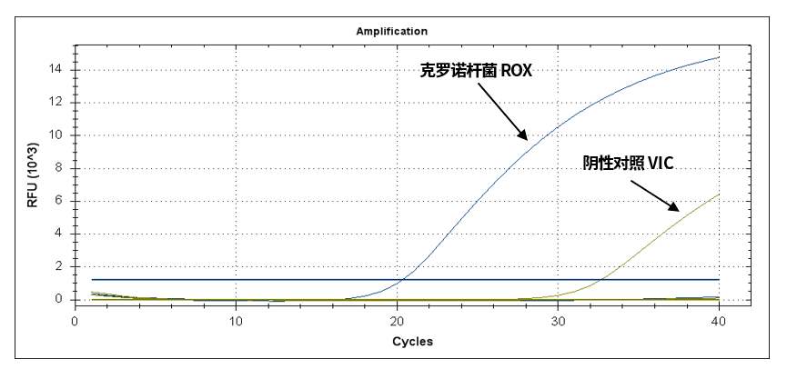 GB 4789.40-2024克羅諾桿菌檢驗標準變更解讀