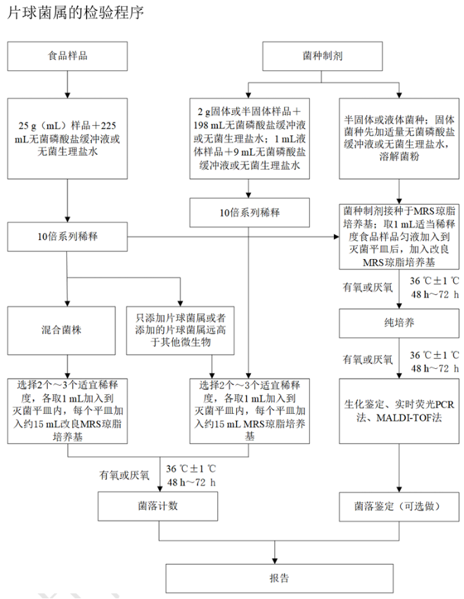 乳酸菌檢驗新角色——片球菌屬與魏茨曼氏菌屬 乳酸菌檢驗新角色——片球菌屬與魏茨曼氏菌屬