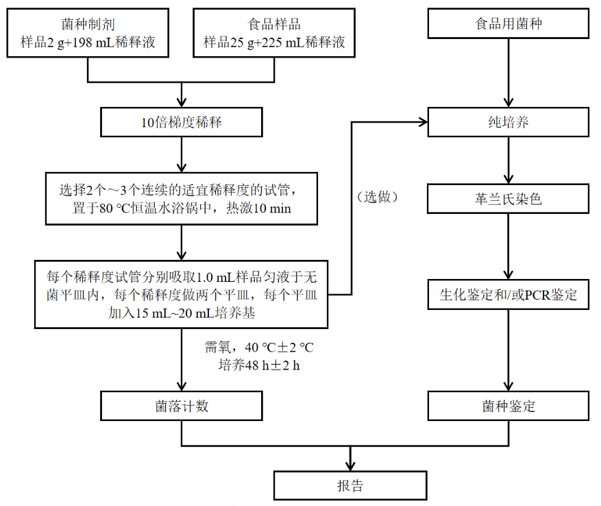 乳酸菌檢驗新角色——片球菌屬與魏茨曼氏菌屬 乳酸菌檢驗新角色——片球菌屬與魏茨曼氏菌屬