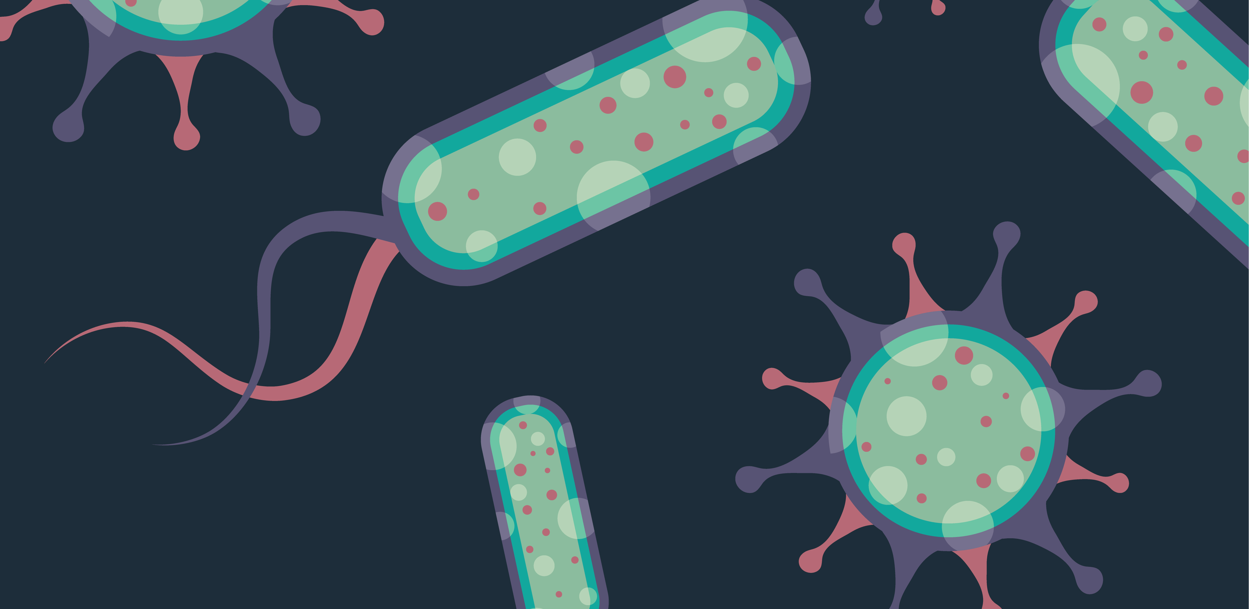 誰是芽胞桿菌中的“運(yùn)動(dòng)健將”？