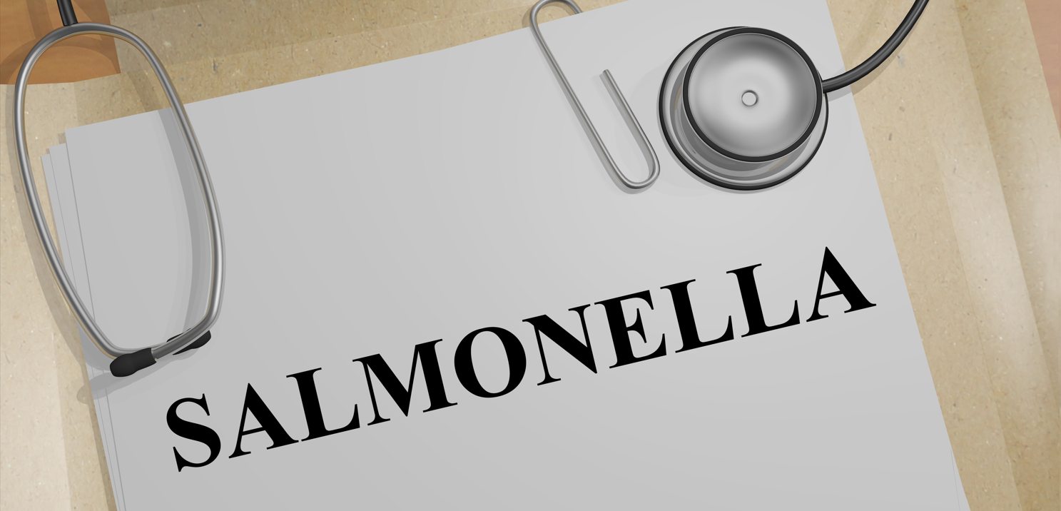 沙門檢測新助手—沙門氏+顯色培養(yǎng)基