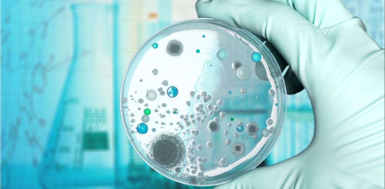 北京陸橋邀您參加第九屆制藥工業(yè)微生物技術(shù)大會(huì)（2025年5月·杭州）